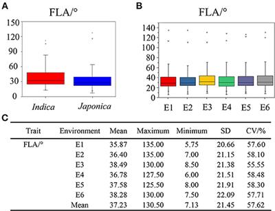 An Analysis of Natural Variation Reveals That OsFLA2 Controls Flag Leaf Angle in Rice (Oryza sativa L.)
